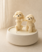 Wax Melts