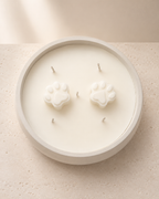 Wax Melts