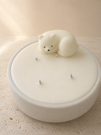 Wax Melts